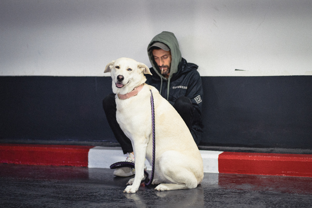 Jour 4 - 63 Jour 4 - 63