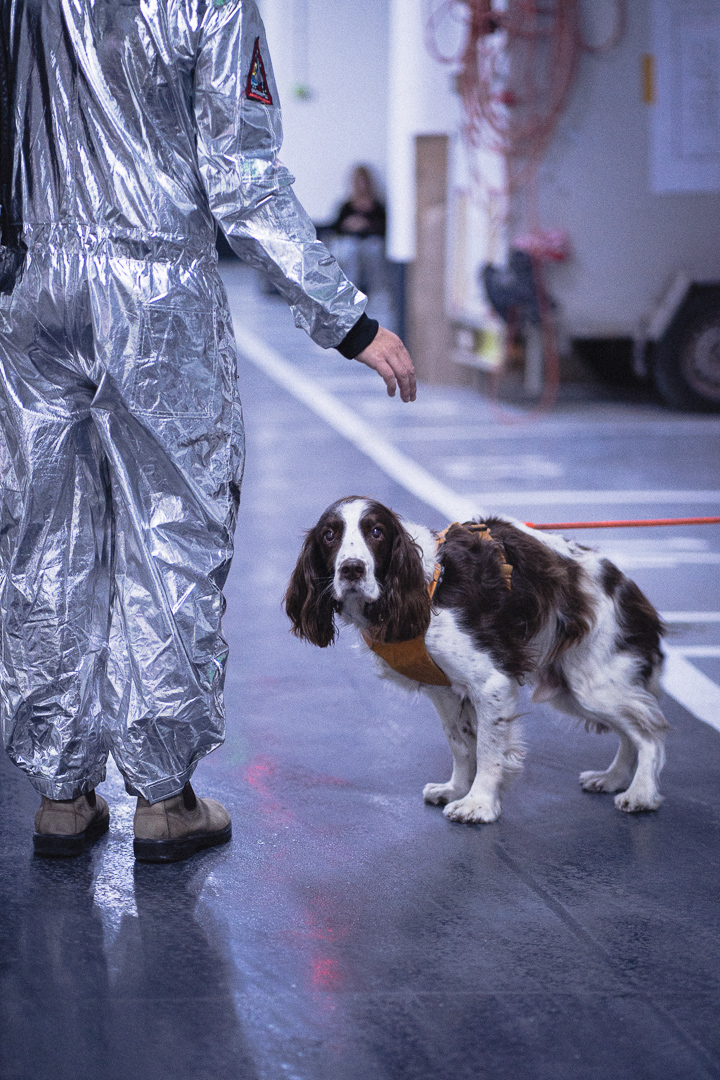 Jour 4 - 70 Jour 4 - 70