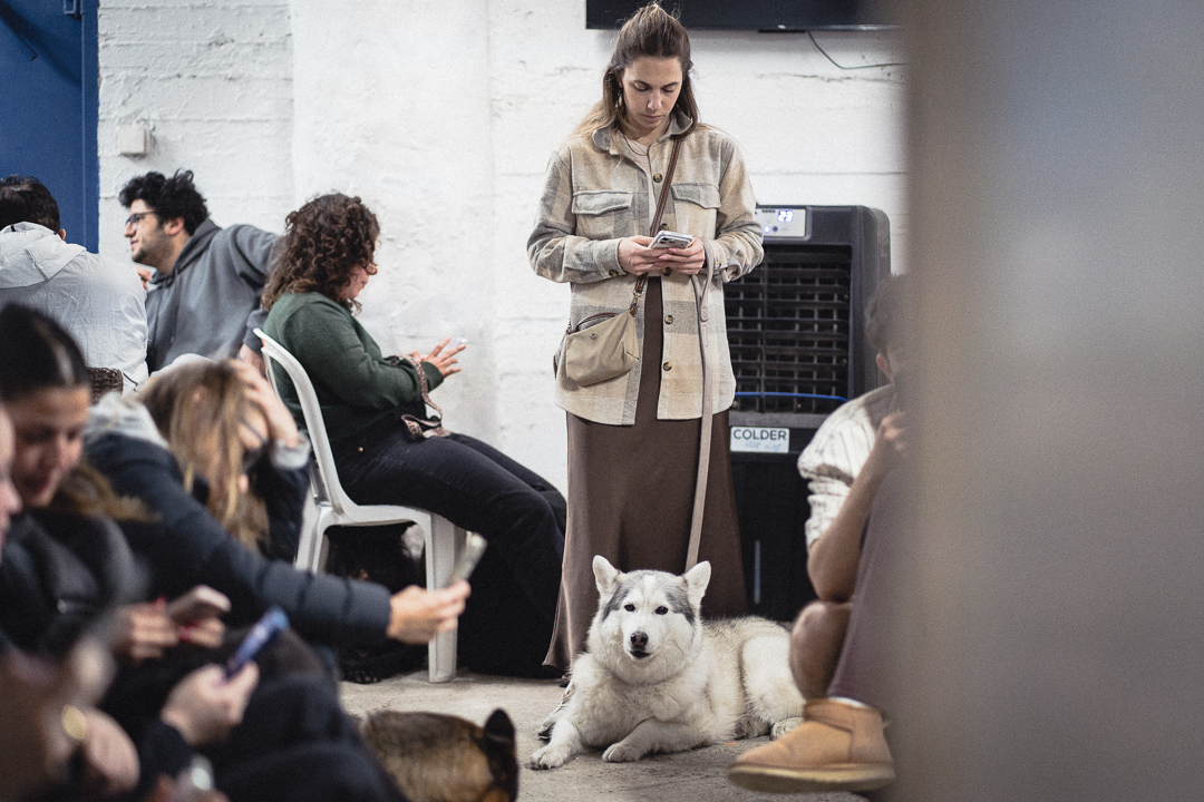 Jour 6 - 5 Jour 6 - 5