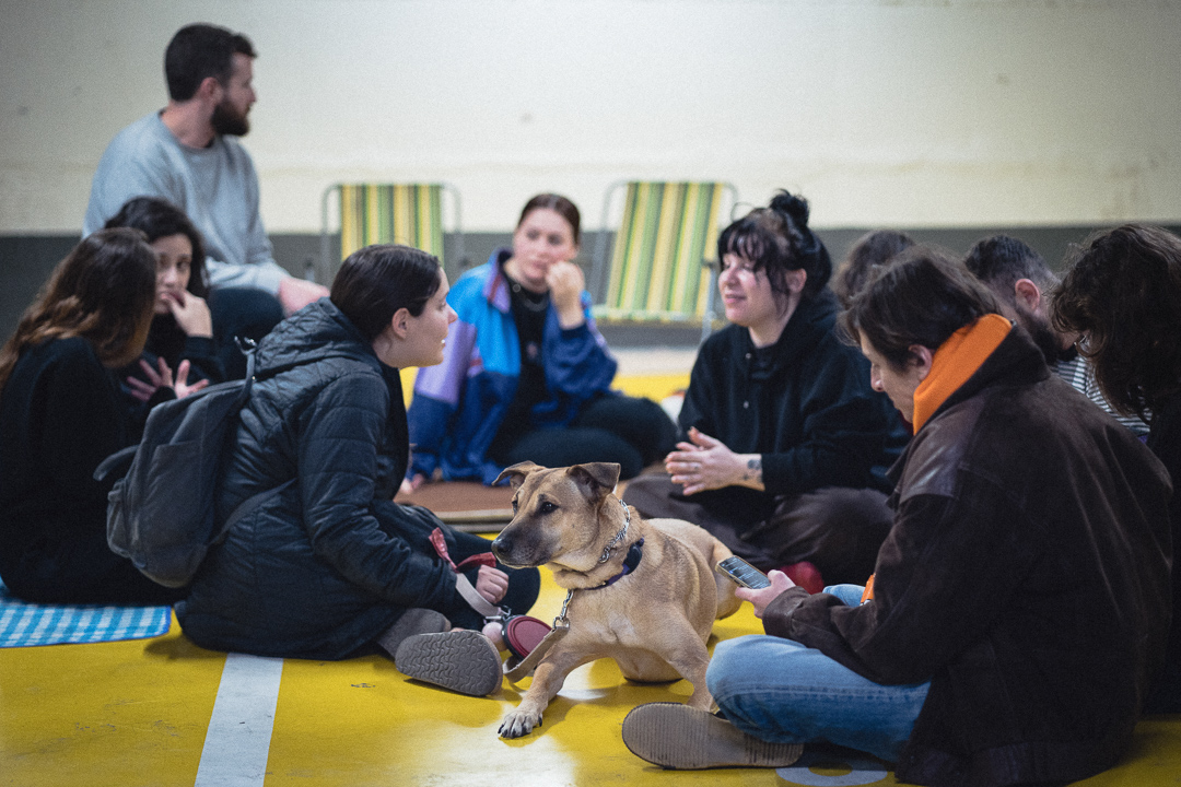 Jour 8 - 21 Jour 8 - 21